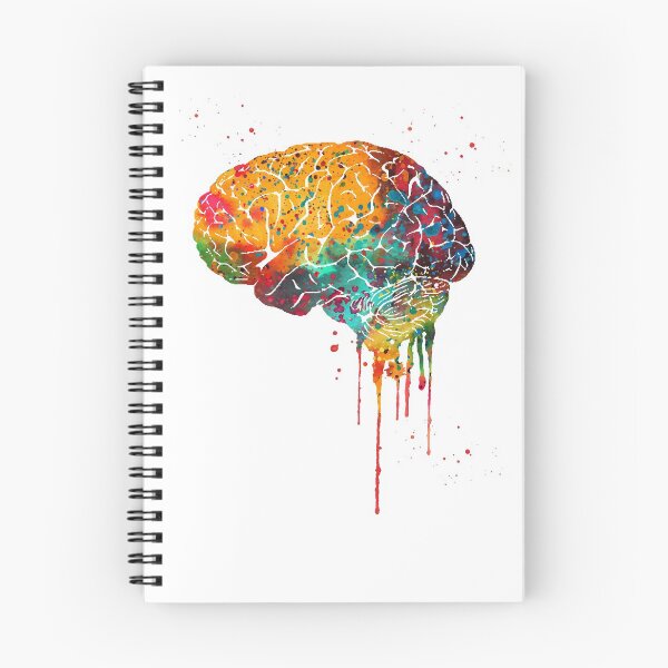 Item preview,  Human Brain designed and sold by Liededrom..