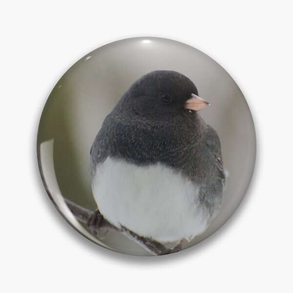 Item preview, Junco bird on branch designed and sold by maddiebusick.