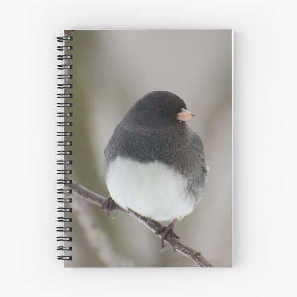 Item preview, Junco bird on branch designed and sold by maddiebusick.