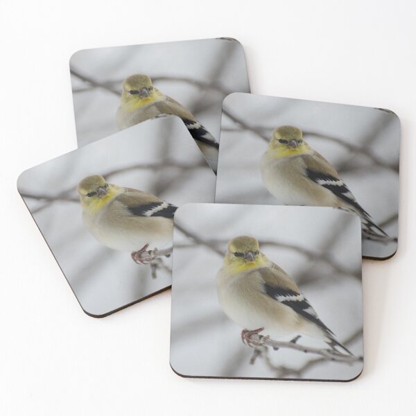 Item preview, Goldfinch on branch designed and sold by maddiebusick.