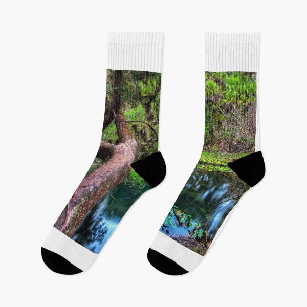 Item preview, An Egret in the Everglades designed and sold by SpikeFlutie.