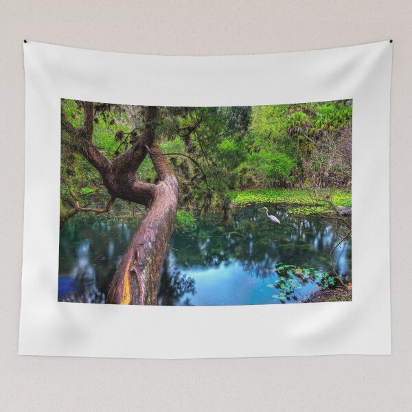Item preview, An Egret in the Everglades designed and sold by SpikeFlutie.