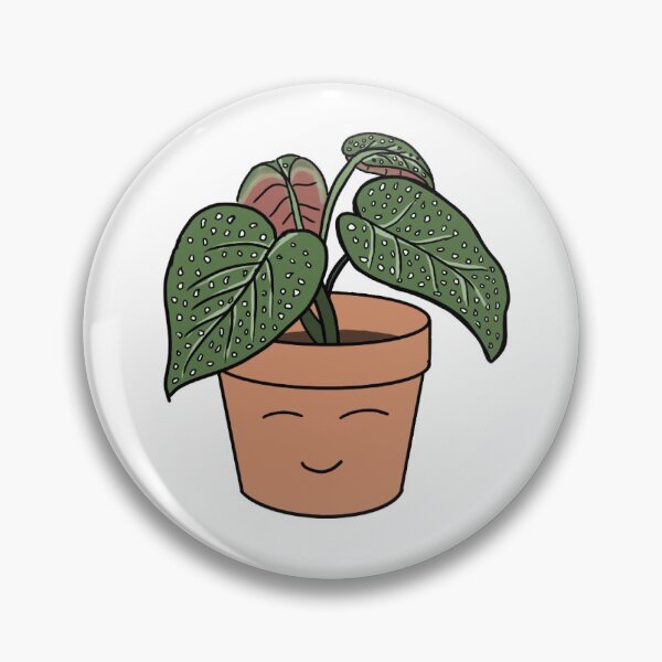 Item preview, Begonia, but make it cute designed and sold by matvr1.