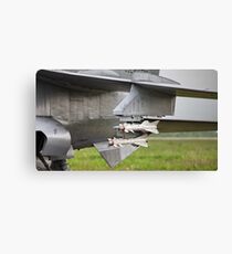 missile Canvas Print
