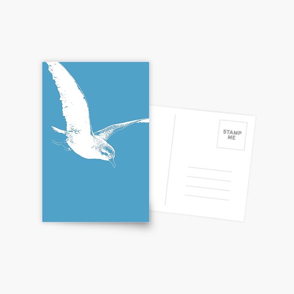 Bird in the Blue Postcard