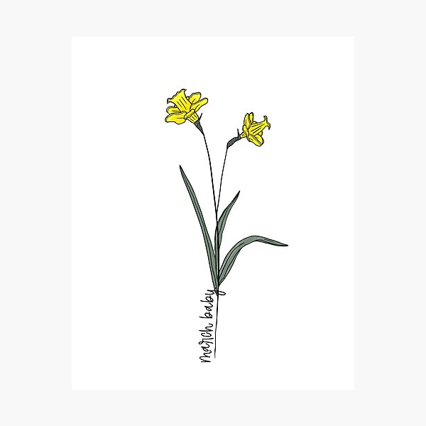 Birth Month Flower of March - The Daffodil