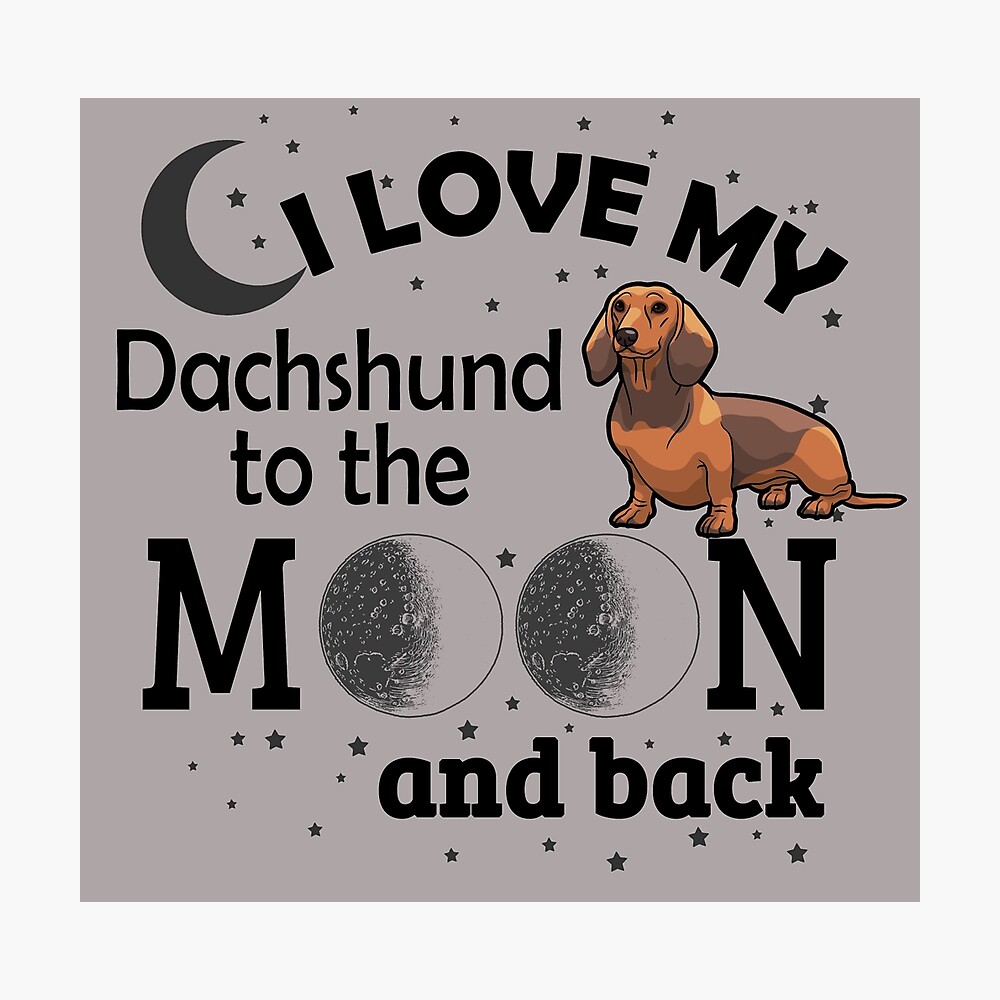 gift ideas for dachshund lovers