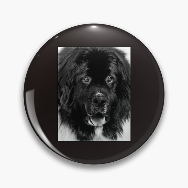 Item preview, Newfoundland Dog Portrait in Black and White designed and sold by Laurie Minor.