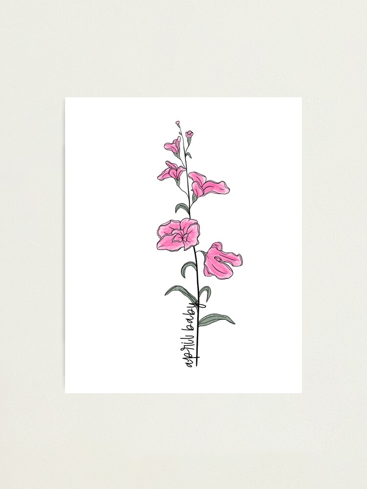 Impression photo « Pois de senteur. Créé sur iPad Pro avec Procreate.  Consultez mon Etsy pour des dessins de bouquet de fleurs de naissance  personnalisés: EKWdigitaldesigns Instagram: @ e.k.w.designs », par  ekwdesigns | Redbubble