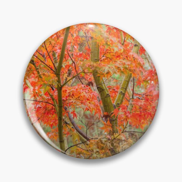Item preview, Japanese Maple designed and sold by jvnimages.