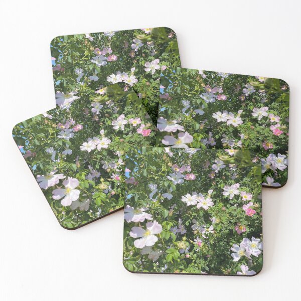 Item preview, Flowers in the sun designed and sold by CrazycolorTiger.