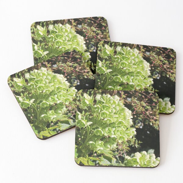 Item preview, Green Hellebore designed and sold by pinkal.