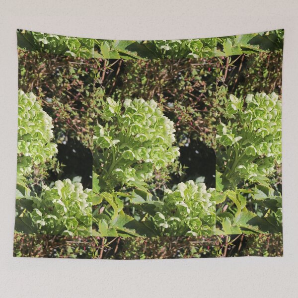 Item preview, Green Hellebore designed and sold by pinkal.