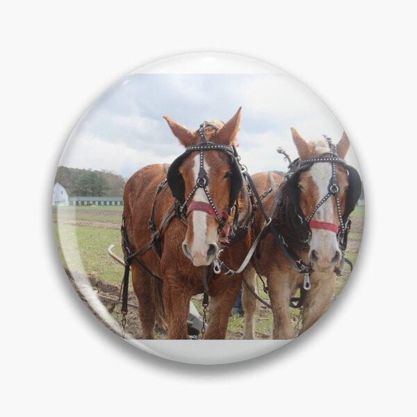 Item preview, Plow Days - Mount Hermon, Maryland designed and sold by searchlight.