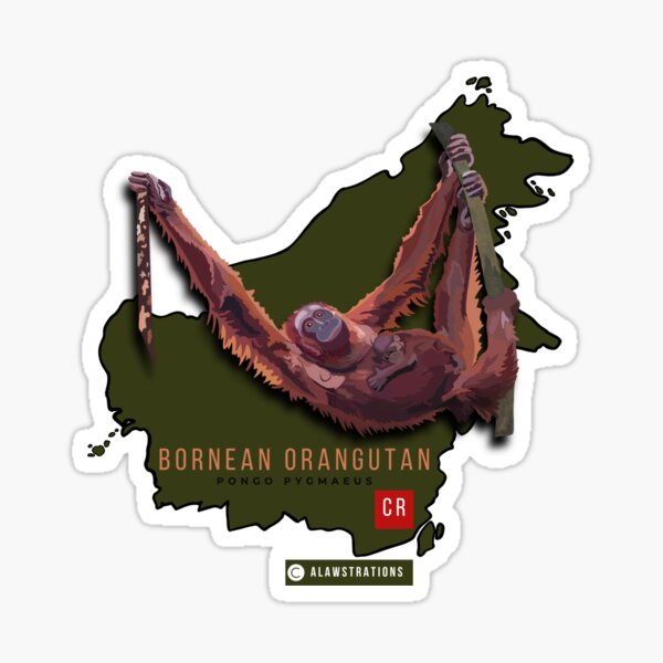 Item preview, Bornean Orangutan (Pongo pygmaeus) designed and sold by Alawstrations.