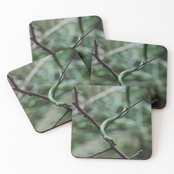 Item preview, Green snake designed and sold by maddiebusick.