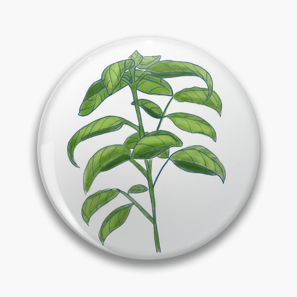 Item preview, Basil Herb designed and sold by BookTalkBecky.