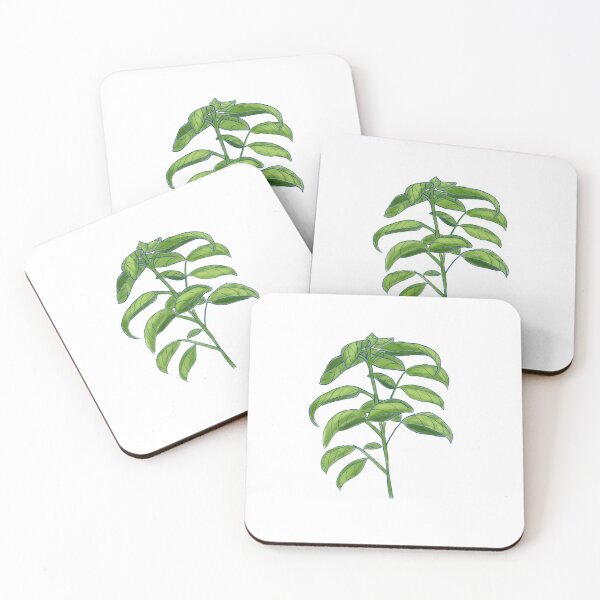 Item preview, Basil Herb designed and sold by BookTalkBecky.