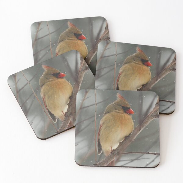 Item preview, Female Cardinal in Snow designed and sold by maddiebusick.