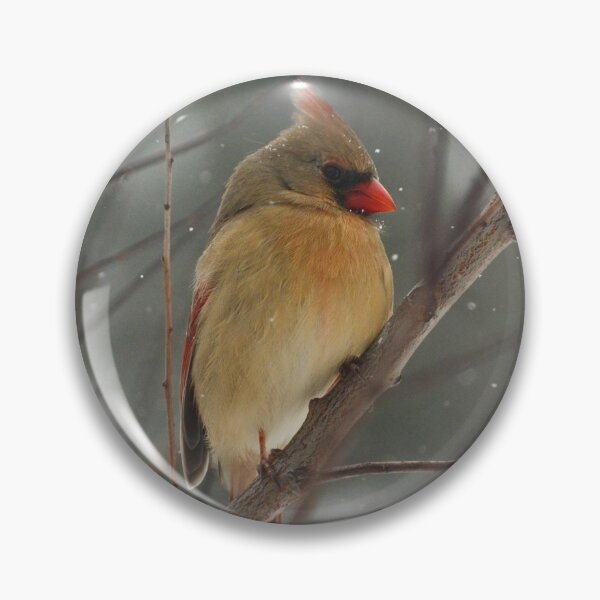 Item preview, Female Cardinal in Snow designed and sold by maddiebusick.