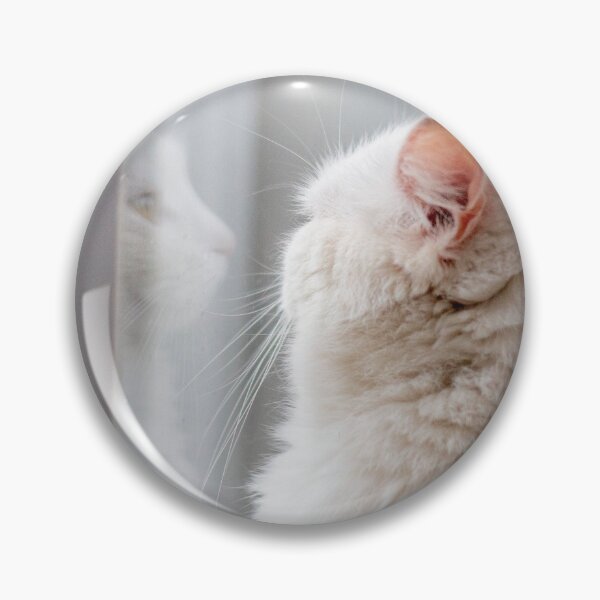 Item preview, White cat with her reflection in the window glass designed and sold by Pokofoto.