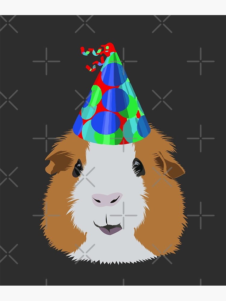 Carte De Vœux Fete D Anniversaire Cochon D Inde Par Kcpetportraits Redbubble