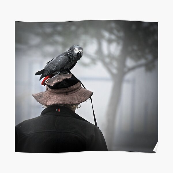 I always wear a bird on my head Poster