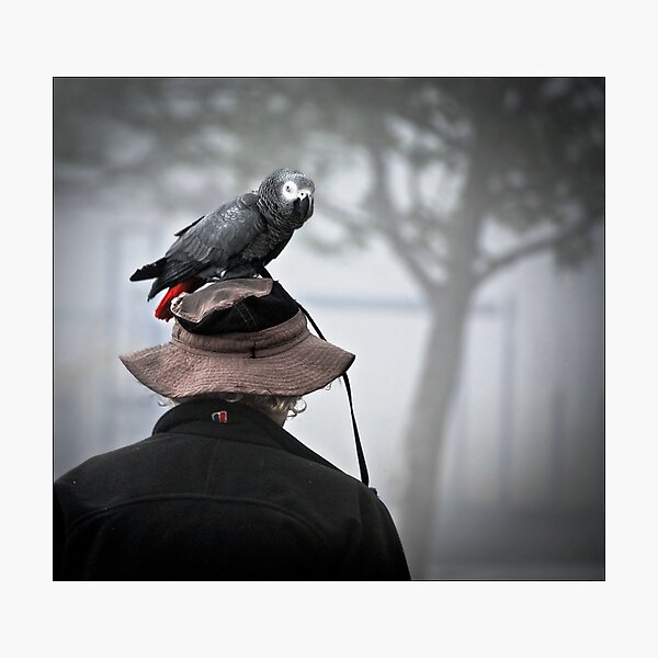 Je porte toujours un oiseau sur ma tête Impression photo