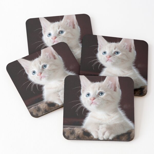 Item preview, Kitten Being Cute designed and sold by lighthaq.