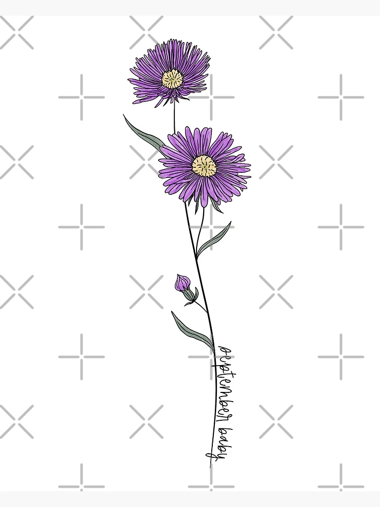 September Baby Birth Month Flower Aster Color Photographic Print for Sale by ekwdesigns Redbubble