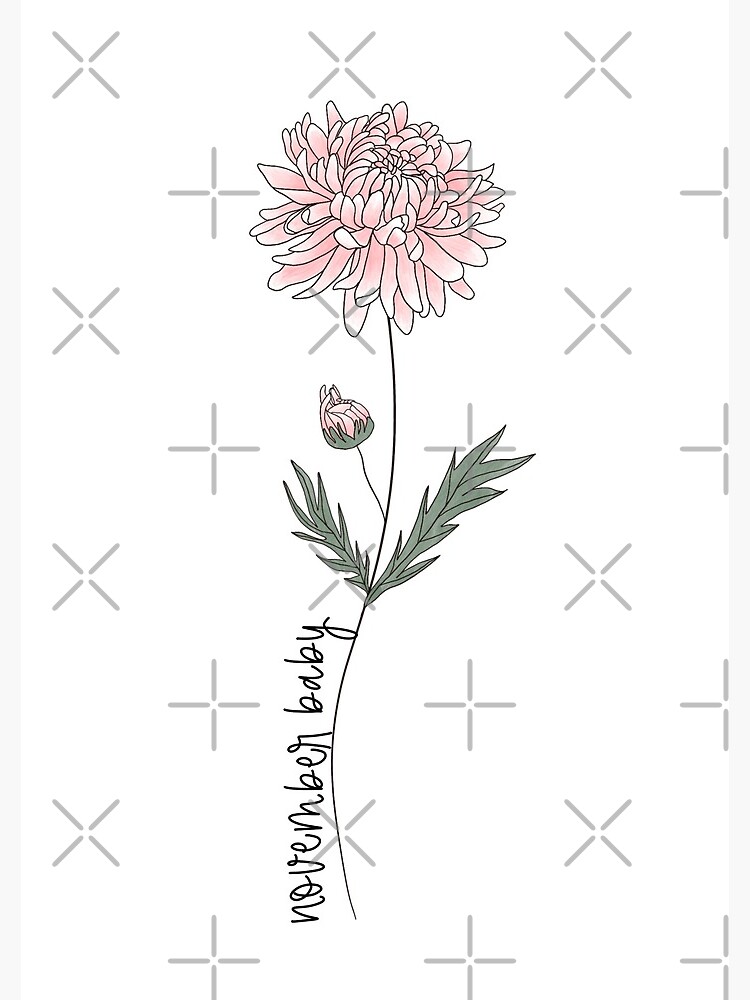 November Birth Flowers: Chrysanthemum & Peony