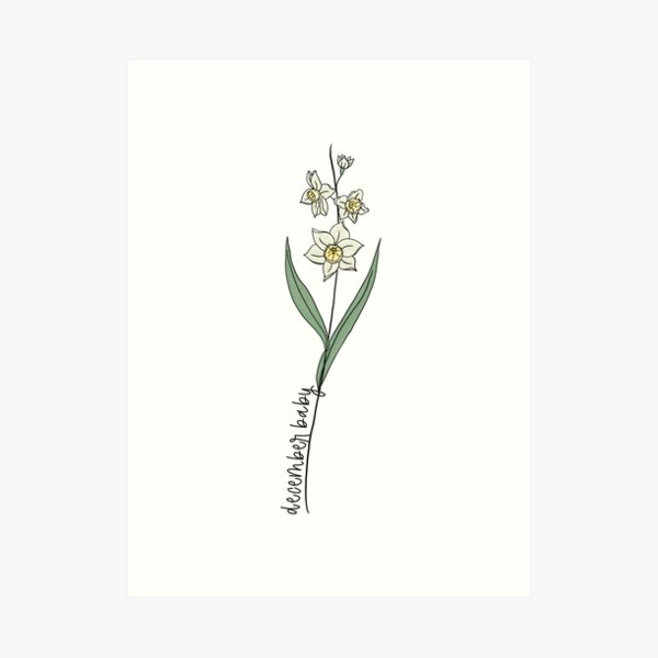 December Baby Birth Month Flower Narcissus Color Art Print For
