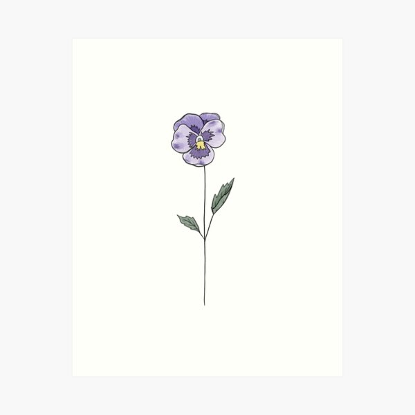 Mama Tried  Tattoo Smith  What is everyones birth flower For reference  January  Carnation  Snowdrop February  Violet  Primrose March   Daffodil  Jonquil April  Daisy 