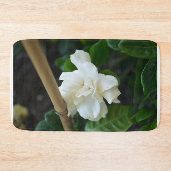 Item preview, Gardenia designed and sold by This and That.