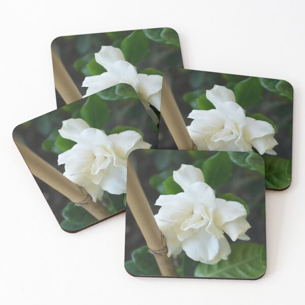 Item preview, Gardenia designed and sold by This and That.
