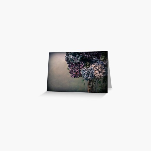 Hydrangea in the Fall Greeting Card