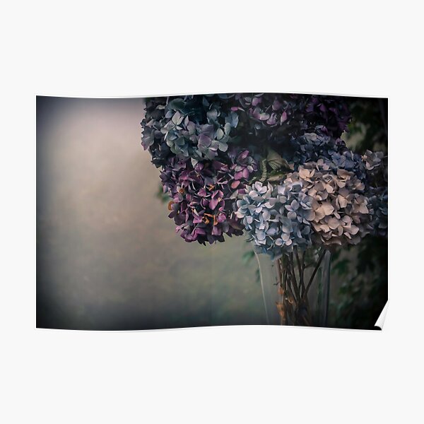 Hydrangea in the Fall Poster