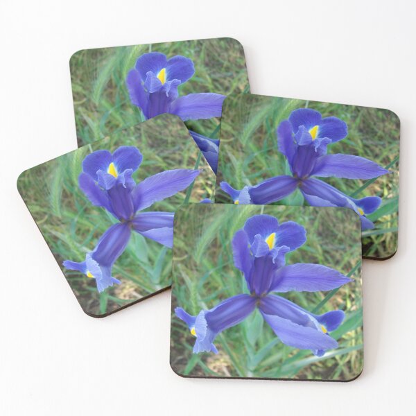 Item preview, Blue Dutch Iris  designed and sold by Tamara McDonnell.