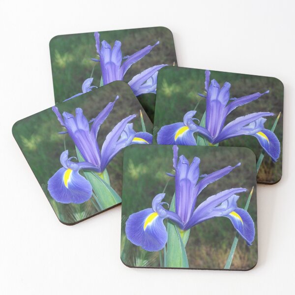 Item preview, Dutch Iris Beauty designed and sold by Tamara McDonnell.