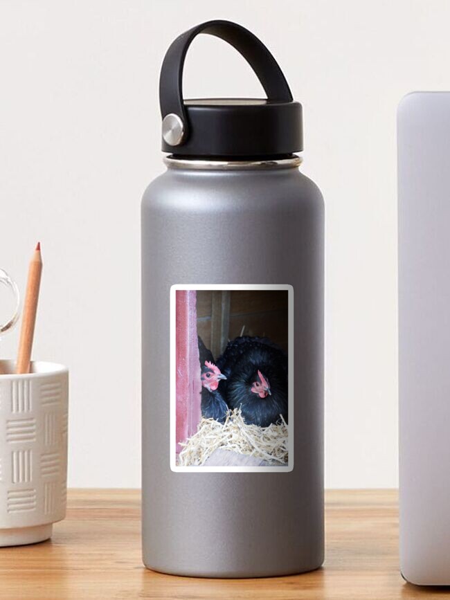 Thumbnail 1 of 3, Sticker, Two Black Chooks designed and sold by MagpieSprings.