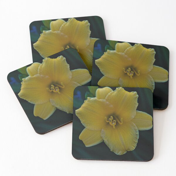 Item preview, Morning Flower in Bloom designed and sold by Kitkatfoxx.