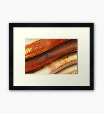 In Days of Rust Framed Print