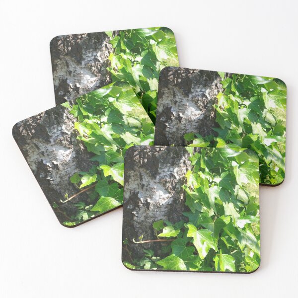 Item preview, Ivy designed and sold by Tamara McDonnell.