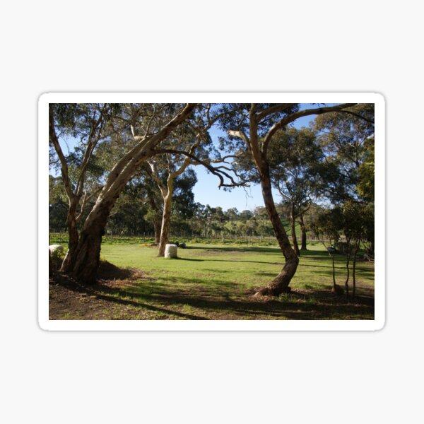 Item preview, Gum Trees and Vineyard by Avril Thomas designed and sold by MagpieSprings.