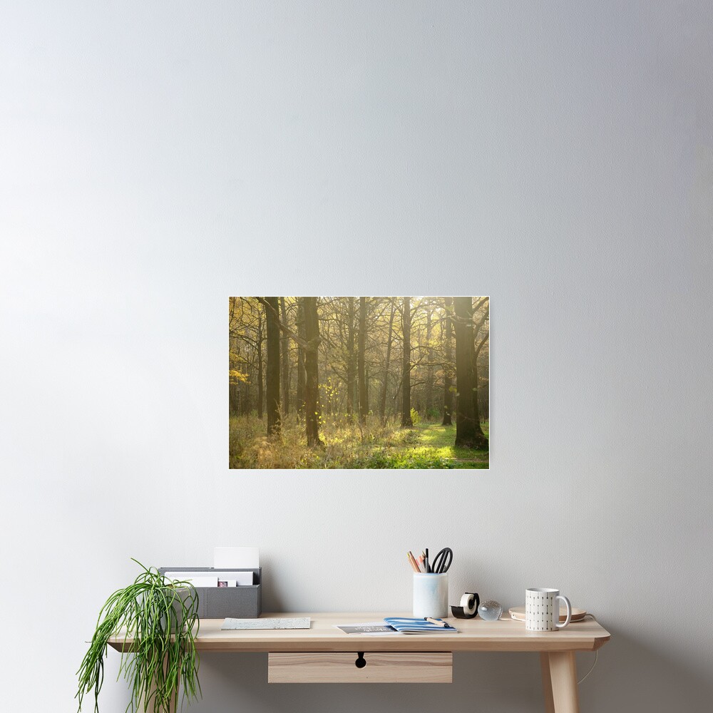 Item preview, Poster designed and sold by Mallorn.