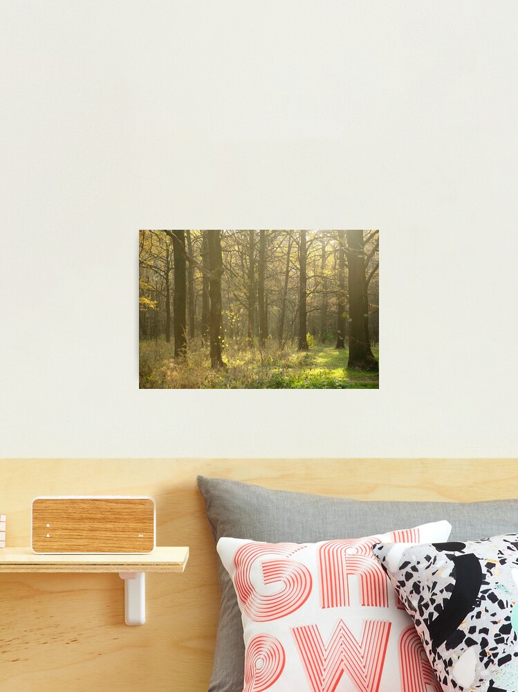 Thumbnail 2 of 3, Photographic Print, Autumn Softness designed and sold by Mallorn.