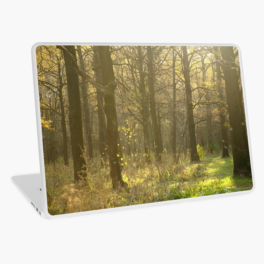 Item preview, Laptop Skin designed and sold by Mallorn.