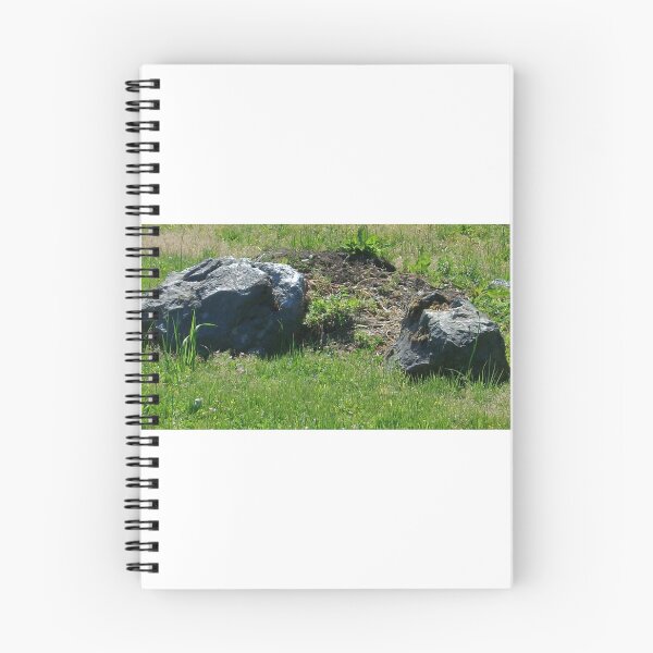 Item preview, Rock garden designed and sold by Tamara McDonnell.