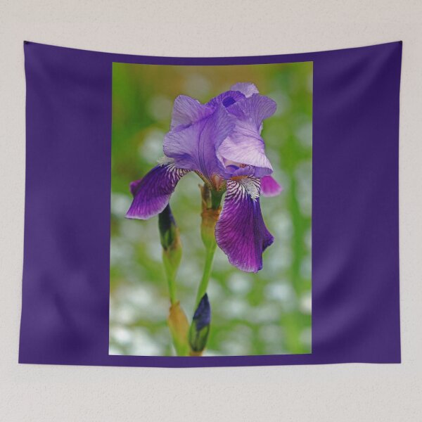 Item preview, Simply Purple Iris designed and sold by Deb Oppermann.