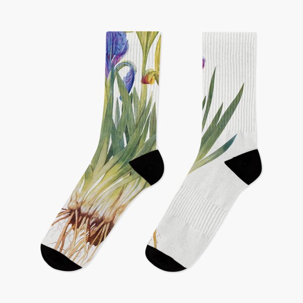 Item preview, Iris Bulbs Vintage Illustration designed and sold by Lemon  Merch.